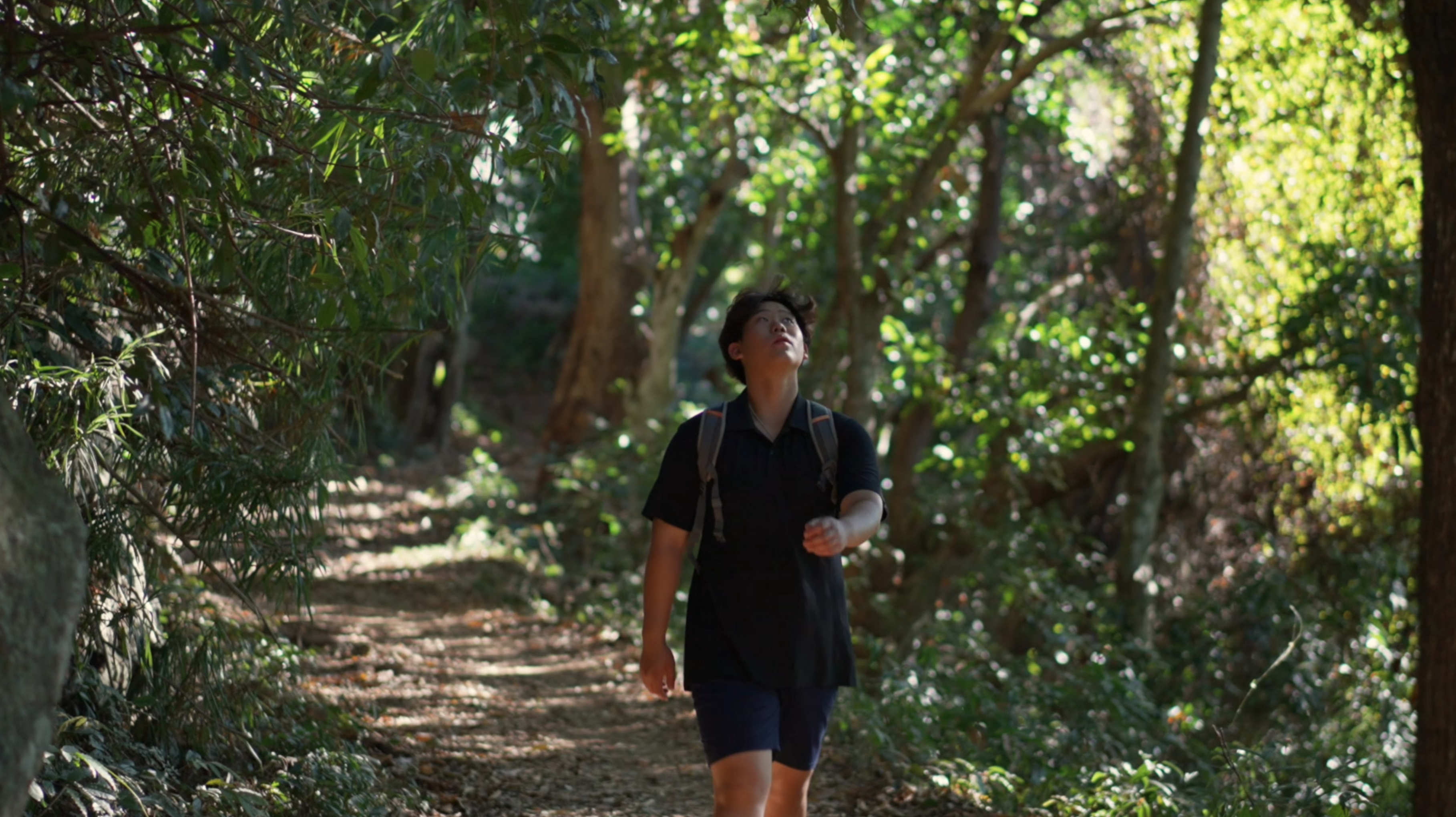 Madagascar landscape